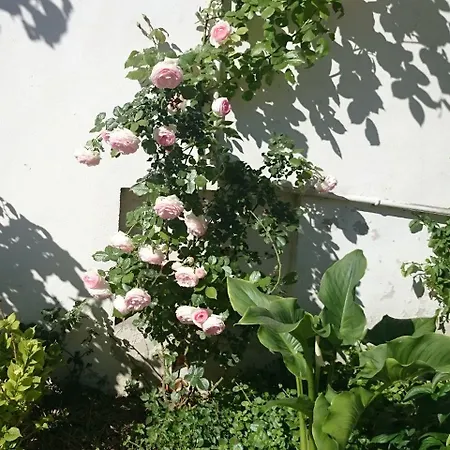 Le Clos Chez Michel 3* Montpellier