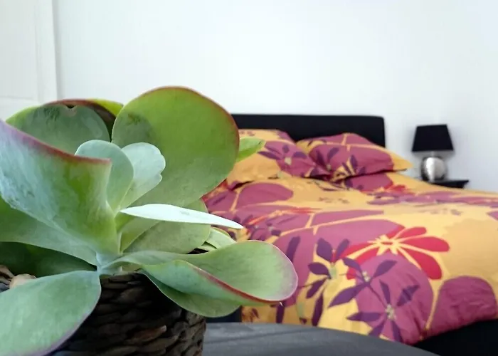 Le Clos Chez Michel Montpellier