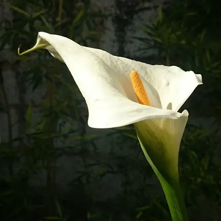 Le Clos Chez Michel فندق مبيت وإفطار