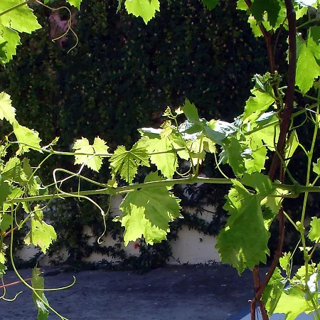 فندق مبيت وإفطار Le Clos Chez Michel مونبيلييه