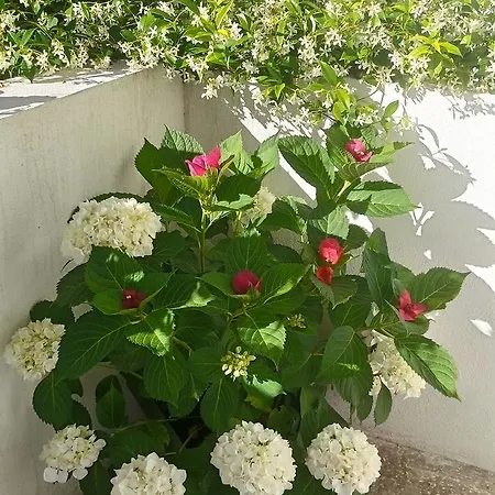 Le Clos Chez Michel B&B