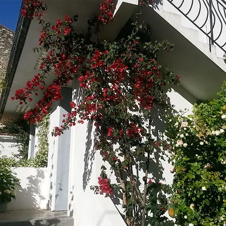 Le Clos Chez Michel مونبيلييه