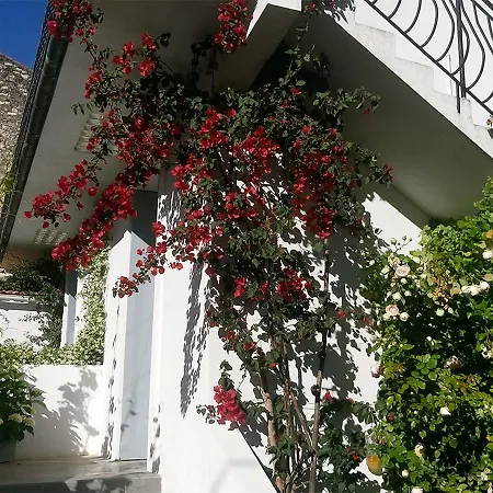Le Clos Chez Michel Montpellier