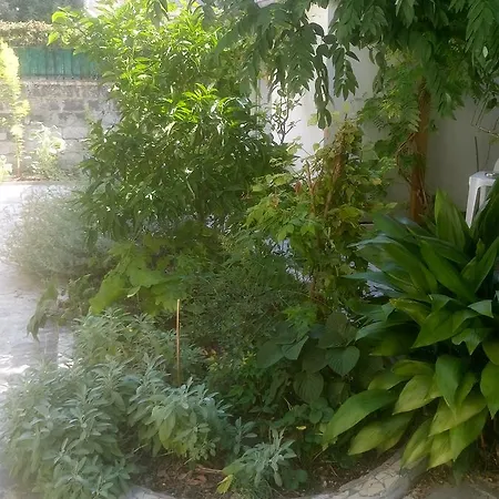 Bed & Breakfast Le Clos Chez Michel Montpellier