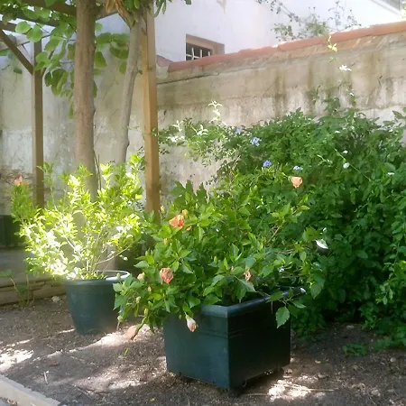 Bed & Breakfast Le Clos Chez Michel Montpellier