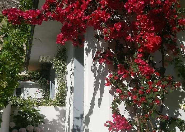 Le Clos Chez Michel Oda ve Kahvaltı