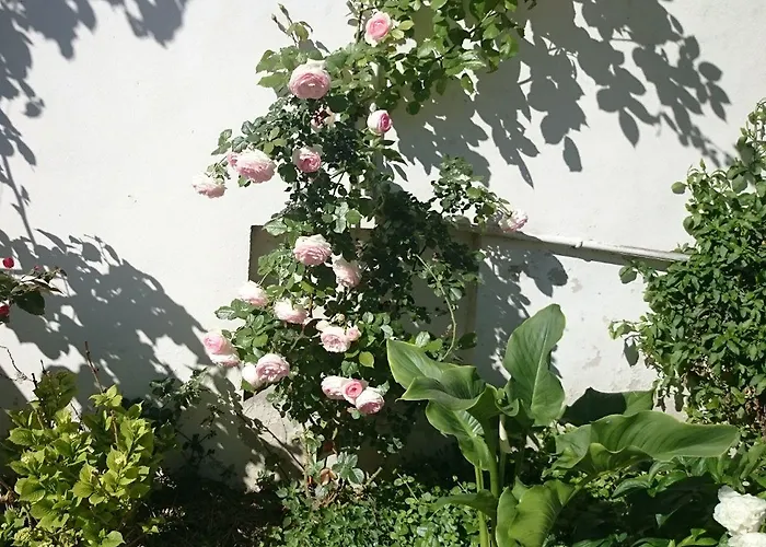 Le Clos Chez Michel 3* مونبيلييه